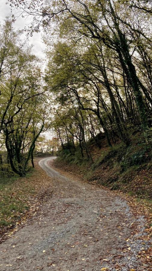 La Fonte Di Gaiche Pension Piegaro  Buitenkant foto