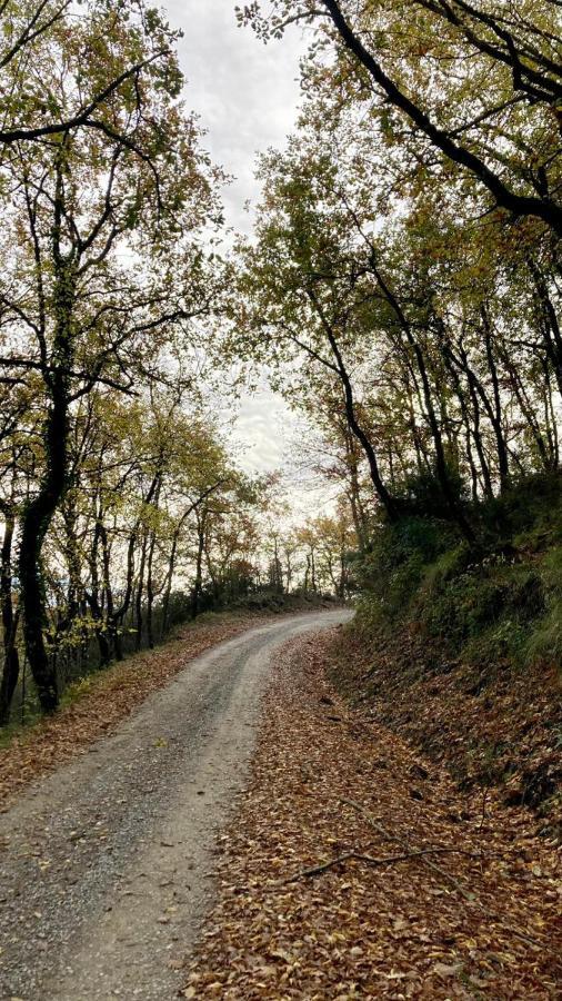 La Fonte Di Gaiche Pension Piegaro  Buitenkant foto
