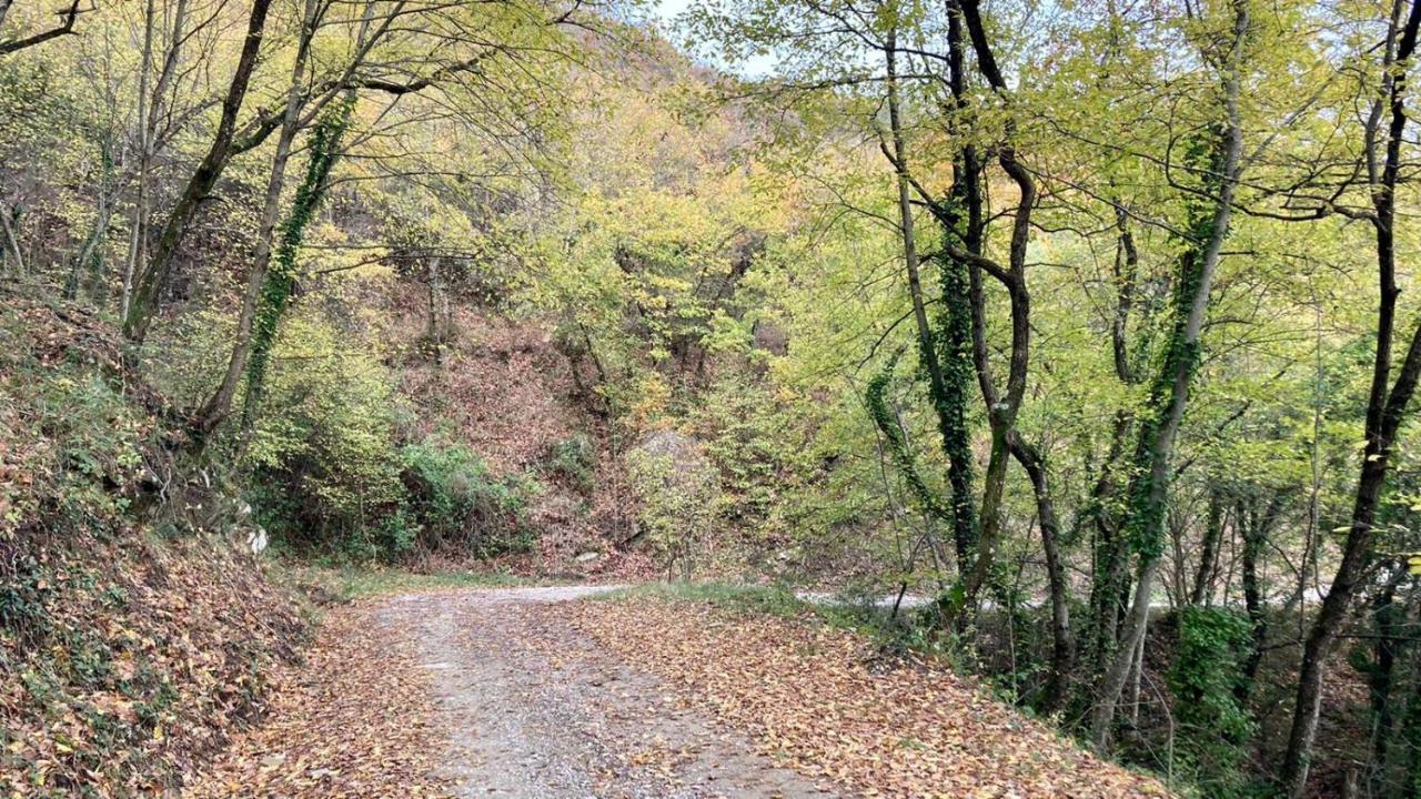 La Fonte Di Gaiche Pension Piegaro  Buitenkant foto