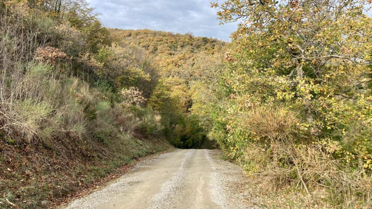 La Fonte Di Gaiche Pension Piegaro  Buitenkant foto